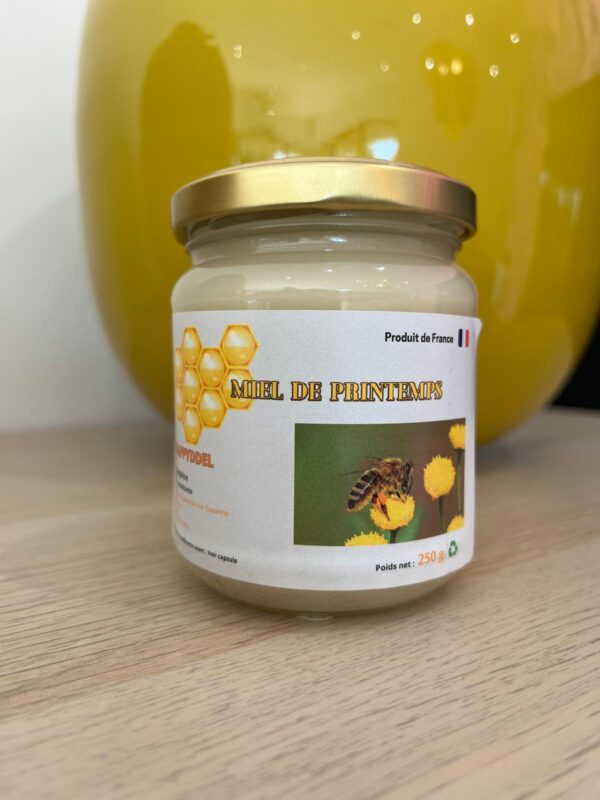 Miel de Printemps 250g